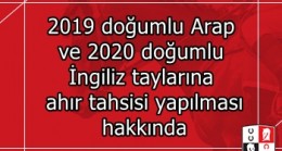 2019 doğumlu Arap ve 2020 doğumlu İngiliz taylarına ahır tahsisi yapılması hakkında
