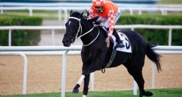 2022 Dubai World Cup Karnavalı’nda Burgas’ın ilk yarış kaydı yapıldı