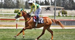 Adana ve Kocaeli ilkbahar – yaz yarış sezonuna “merhaba” dedi