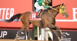 27. Dubai World Cup’ta zafere Ushba Tesoro ulaştı