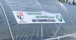 Elazığ Hipodromu’nda peyzaj bitkileri için sera oluşturuldu