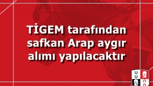 TİGEM tarafından safkan Arap aygır alımı yapılacaktır