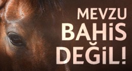MEVZU BAHİS DEĞİL!