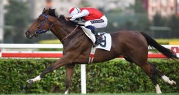 2022 Dubai World Cup Karnavalı’nda Light of Darkness’ın ilk yarış kaydı yapıldı