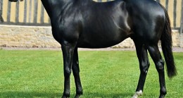 ELARQAM 2023 yılında İzmit Aşım İstasyonu’nda!