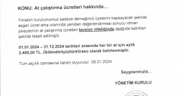 At çalıştırma ücretleri hakkında…